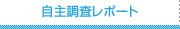 自主調査レポート